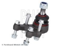 Blue Print ADN18603