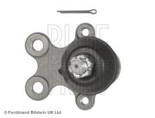 Blue Print ADN18611