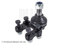 Blue Print ADN18627