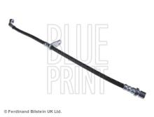 Blue Print ADS75356