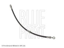 Blue Print ADS75369