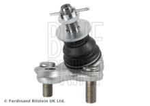 Blue Print ADT386202