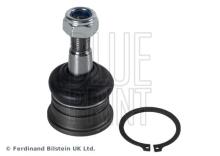 Blue Print ADT38639