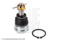 Blue Print ADT38642