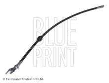 Blue Print ADZ95319