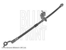 Blue Print ADZ95343