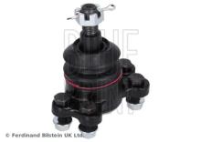 Blue Print ADZ98605
