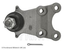 Blue Print ADZ98612