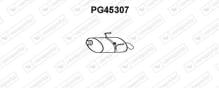 VENEPORTE S.A. PG45307