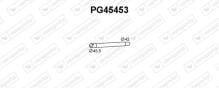 VENEPORTE S.A. PG45453