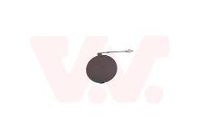 VAN WEZEL 1639587