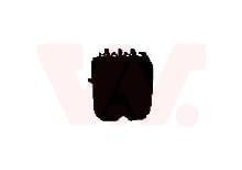 VAN WEZEL 5813541