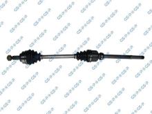 GSP 210239