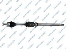 GSP 217077