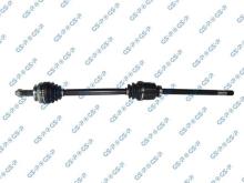 GSP 244004