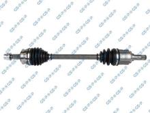 GSP 244079