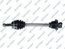 GSP 250166