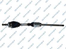 GSP 250272
