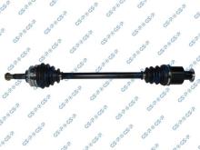 GSP 250395