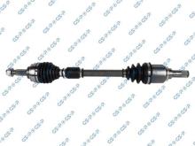 GSP 250487