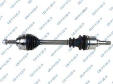 GSP 250493
