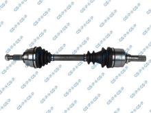 GSP 250496