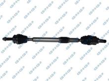 GSP 259378