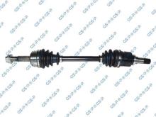 GSP 259495