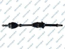 GSP 259589