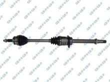 GSP 259662