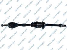 GSP 299106