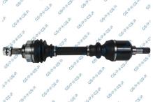 GSP 299195