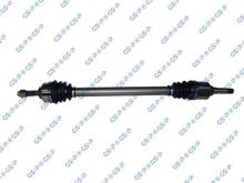 GSP 299271