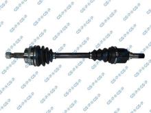 GSP 299286