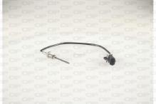 OPEN PARTS EGT1007.00
