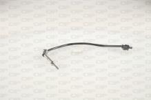 OPEN PARTS EGT1063.00