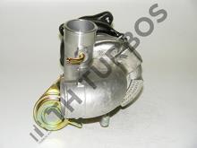 Turbo's Hoet 1103552