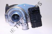 Turbo's Hoet 1100493