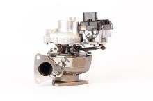 Turbo's Hoet 1104196