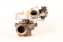 Turbo's Hoet 1104198