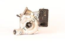 Turbo's Hoet GAR767933-2008
