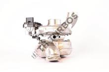 Turbo's Hoet 2100734