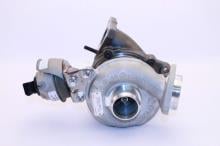 Turbo's Hoet 2100869