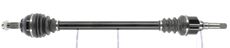 CEVAM 50128