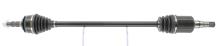 CEVAM 50129