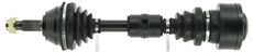 CEVAM 5013