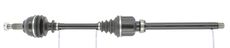 CEVAM 50132