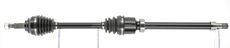 CEVAM 50139