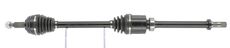 CEVAM 50159