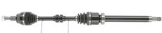 CEVAM 50166